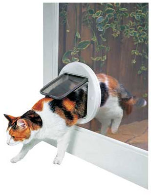 Cat Flap Fitter High Wycombe